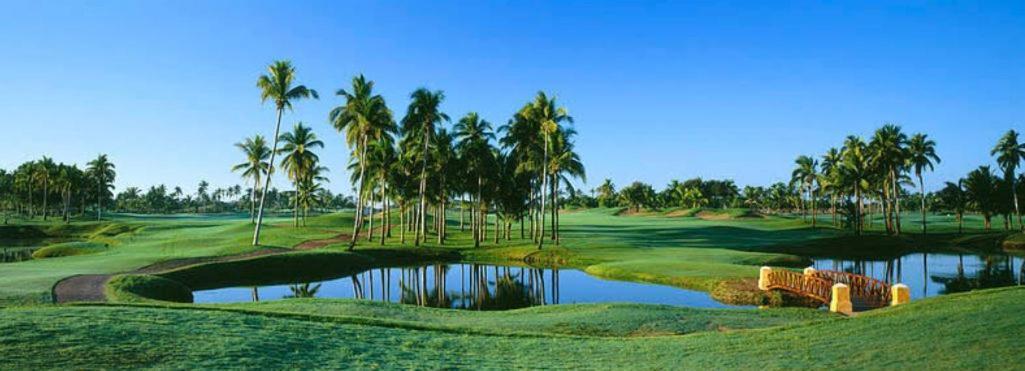 Bungalows Las Hamacas San Patricio Melaque Zewnętrze zdjęcie