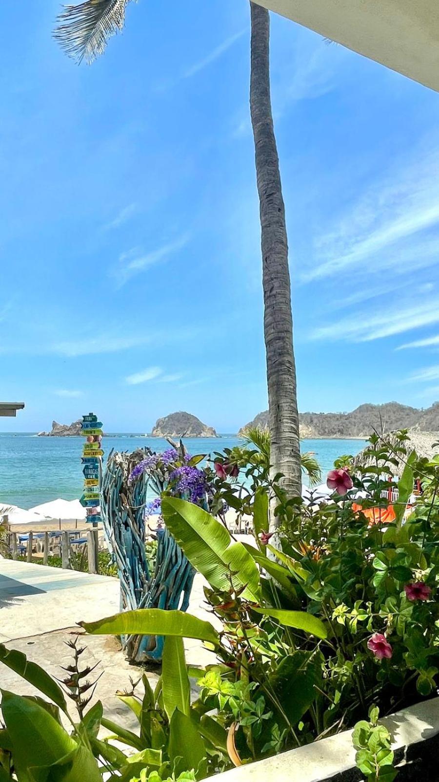 Bungalows Las Hamacas San Patricio Melaque Zewnętrze zdjęcie